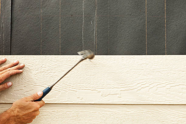 Best Stone Veneer Siding  in Richnd Heights, MO